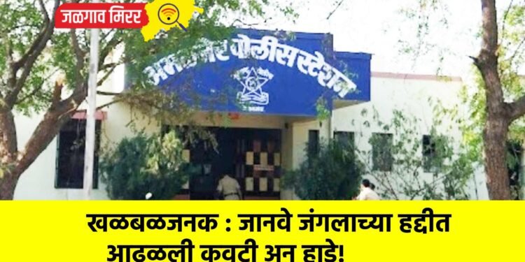 खळबळजनक : जानवे जंगलाच्या हद्दीत आढळली कवटी अन् हाडे!