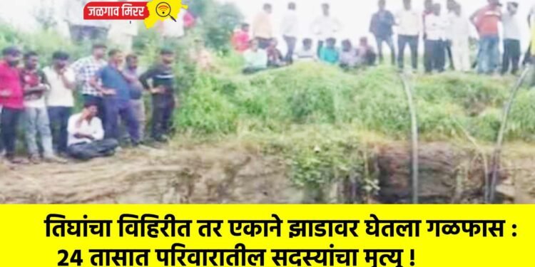 तिघांचा विहिरीत तर एकाने झाडावर घेतला गळफास : २४ तासात परिवारातील सदस्यांचा मृत्यू !
