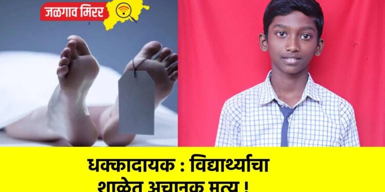 धक्कादायक : विद्यार्थ्याचा शाळेत अचानक मृत्यू !
