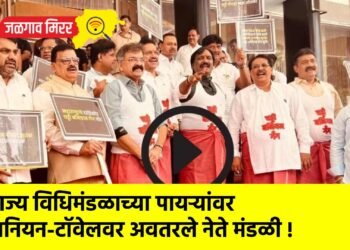 राज्य विधिमंडळाच्या पायऱ्यांवर बनियन-टॉवेलवर अवतरले नेते मंडळी !