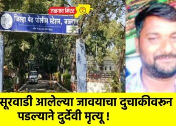 सासूरवाडी आलेल्या जावयाचा दुचाकीवरून पडल्याने दुर्देवी मृत्यू !