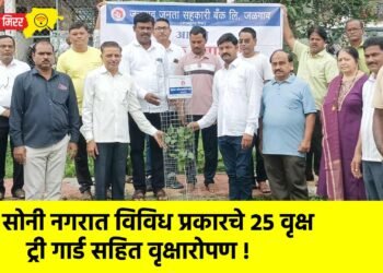 सोनी नगरात विविध प्रकारचे 25 वृक्ष ट्री गार्ड सहित वृक्षारोपण !
