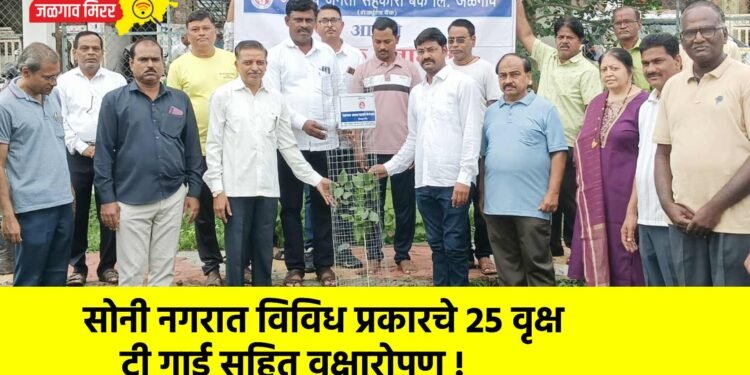 सोनी नगरात विविध प्रकारचे 25 वृक्ष ट्री गार्ड सहित वृक्षारोपण !