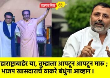 महाराष्ट्राबाहेर या, तुम्हाला आपटून आपटून मारु ; भाजप खासदाराचे ठाकरे बंधुंना आव्हान !