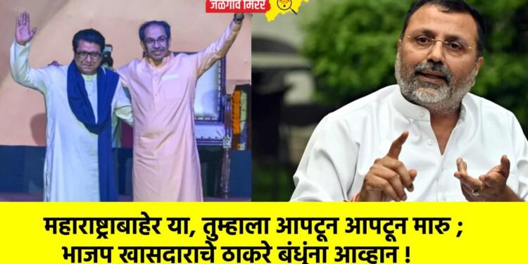 महाराष्ट्राबाहेर या, तुम्हाला आपटून आपटून मारु ; भाजप खासदाराचे ठाकरे बंधुंना आव्हान !