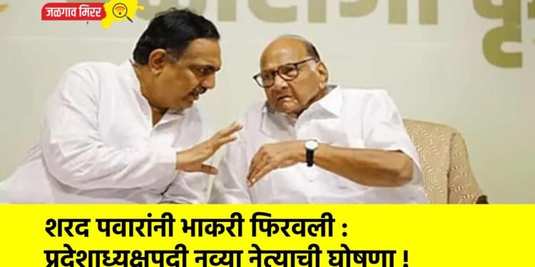 शरद पवारांनी भाकरी फिरवली : प्रदेशाध्यक्षपदी नव्या नेत्याची घोषणा !