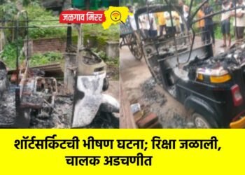 शॉर्टसर्किटची भीषण घटना; रिक्षा जळाली, चालक अडचणीत