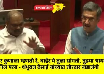 गद्दार कुणाला म्हणतो रे, बाहेर ये तुला सांगतो, तुझ्या आयला ; अनिल परब – शंभूराज देसाई यांच्यात जोरदार खडाजंगी