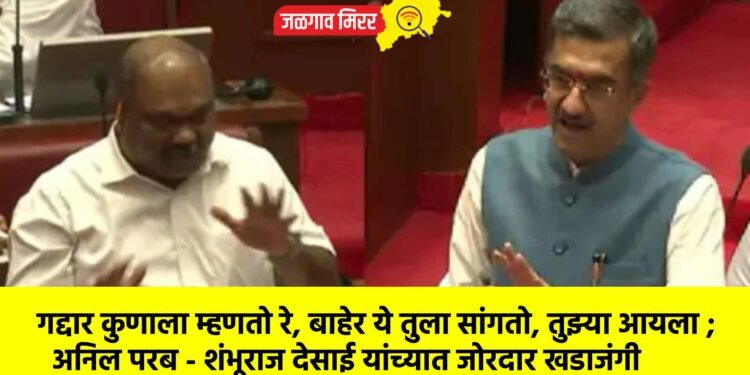 गद्दार कुणाला म्हणतो रे, बाहेर ये तुला सांगतो, तुझ्या आयला ; अनिल परब – शंभूराज देसाई यांच्यात जोरदार खडाजंगी