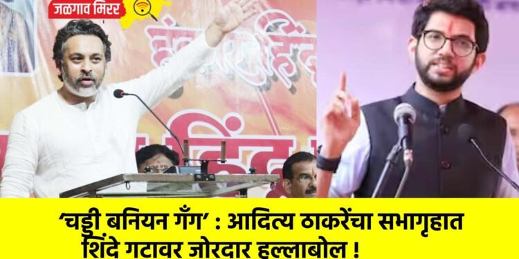 ‘चड्डी बनियन गँग’ : आदित्य ठाकरेंचा सभागृहात शिंदे गटावर जोरदार हल्लाबोल !