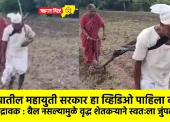 हृदयद्रावक : बैल नसल्यामुळे वृद्ध शेतकऱ्याने स्वतःला जुंपले !