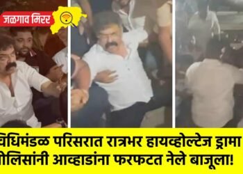 विधिमंडळ परिसरात रात्रभर हायव्होल्टेज ड्रामा : पोलिसांनी आव्हाडांना फरफटत नेले बाजूला!