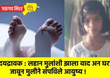 हृदयद्रावक : लहान मुलांशी झाला वाद अन घरात जावून मुलीने संपविले आयुष्य !