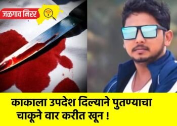 काकाला उपदेश दिल्याने पुतण्याचा चाकूने वार करीत खून !