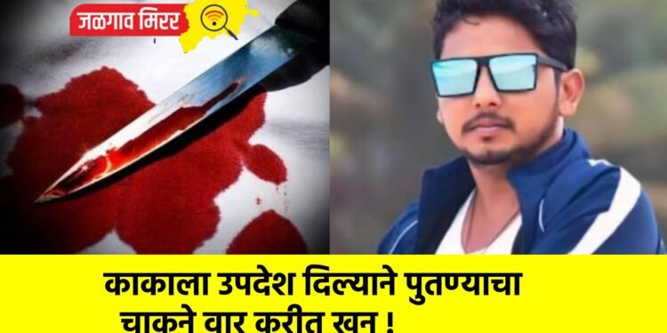 काकाला उपदेश दिल्याने पुतण्याचा चाकूने वार करीत खून !
