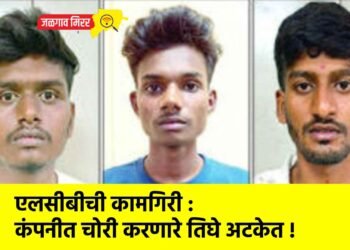 एलसीबीची कामगिरी : कंपनीत चोरी करणारे तिघे अटकेत !