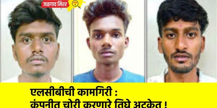 एलसीबीची कामगिरी : कंपनीत चोरी करणारे तिघे अटकेत !