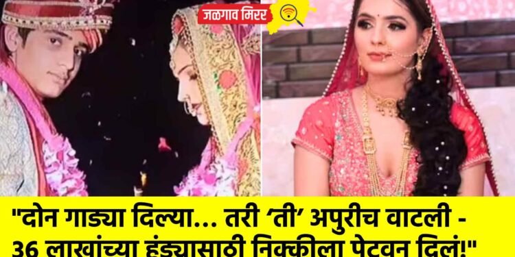 “दोन गाड्या दिल्या… तरी ‘ती’ अपुरीच वाटली – ३६ लाखांच्या हुंड्यासाठी निक्कीला पेटवून दिलं!”