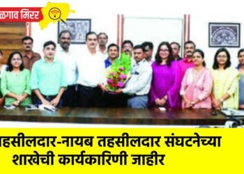 तहसीलदार-नायब तहसीलदार संघटनेच्या शाखेची कार्यकारिणी जाहीर