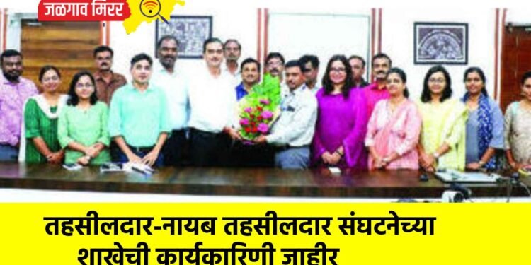 तहसीलदार-नायब तहसीलदार संघटनेच्या शाखेची कार्यकारिणी जाहीर