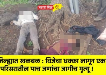 जिल्ह्यात खळबळ : विजेचा धक्का लागून एका परिसरातील पाच जणांचा जागीच मृत्यू !