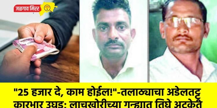 “२५ हजार दे, काम होईल!”-तलाठ्याचा अडेलतट्टू कारभार उघड; लाचखोरीच्या गुन्ह्यात तिघे अटकेत