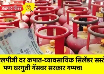 एलपीजी दर कपात-व्यावसायिक सिलेंडर सस्ते, पण घरगुती गॅसवर सरकार गप्पच!
