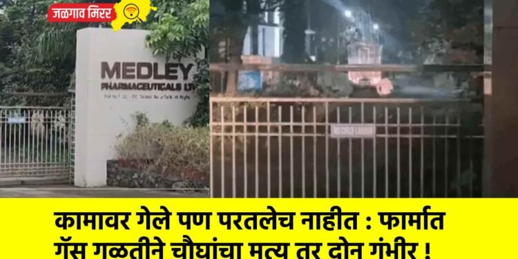 कामावर गेले पण परतलेच नाहीत : फार्मात गॅस गळतीने चौघांचा मृत्यू तर दोन गंभीर !