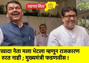 एखादा नेता मला भेटला म्हणून राजकारण ठरत नाही ; मुख्यमंत्री फडणवीस !