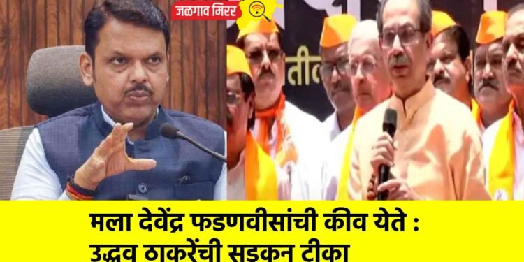 मला देवेंद्र फडणवीसांची कीव येते : उद्धव ठाकरेंची सडकून टीका