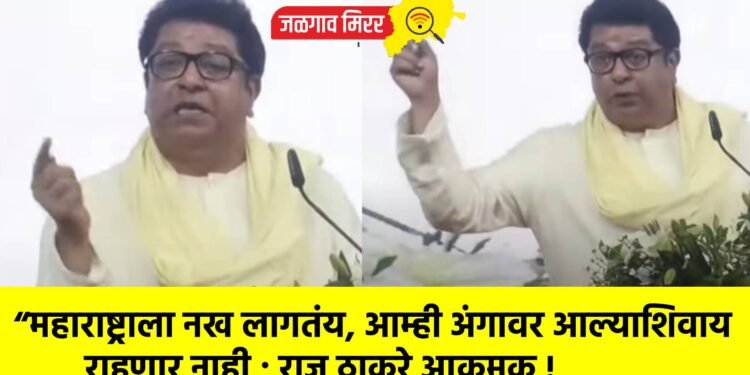 “महाराष्ट्राला नख लागतंय, आम्ही अंगावर आल्याशिवाय राहणार नाही ; राज ठाकरे आक्रमक !