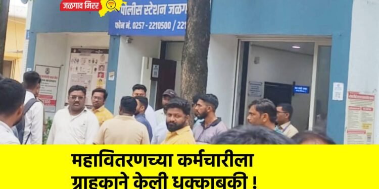 महावितरणच्या कर्मचारीला ग्राहकाने केली धक्काबुकी !