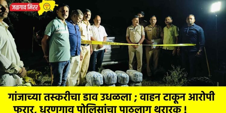 गांजाच्या तस्करीचा डाव उधळला ; वाहन टाकून आरोपी फरार, धरणगाव पोलिसांचा पाठलाग थरारक !