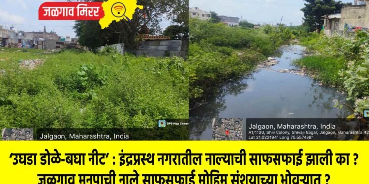 ‘उघडा डोळे-बघा नीट’ : इंद्रप्रस्थ नगरातील नाल्याची साफसफाई झाली का ?