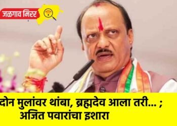 “दोन मुलांवर थांबा, ब्रह्मदेव आला तरी… ; अजित पवारांचा इशारा