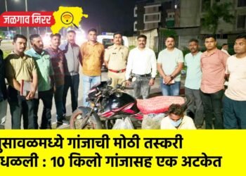 भुसावळमध्ये गांजाची मोठी तस्करी उधळली : १० किलो गांजासह एक अटकेत