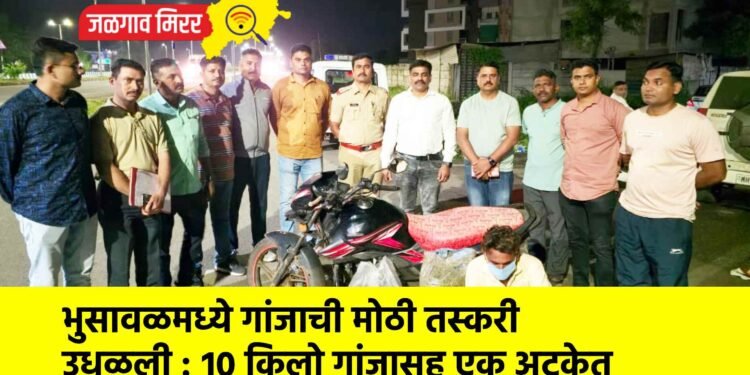 भुसावळमध्ये गांजाची मोठी तस्करी उधळली : १० किलो गांजासह एक अटकेत