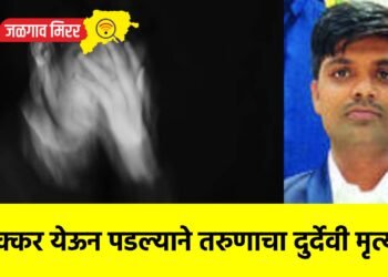 चक्कर येऊन पडल्याने तरुणाचा दुर्देवी मृत्यू !