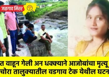 धक्कादायक : नात वाहून गेली अन धक्क्याने आजोबांचा मृत्यू !