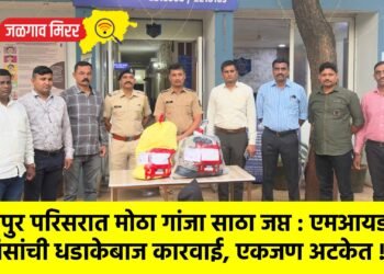 तांबापुर परिसरात मोठा गांजा साठा जप्त : एमआयडीसी पोलिसांची धडाकेबाज कारवाई, एकजण अटकेत !