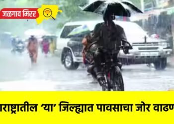 महाराष्ट्रातील ‘या’ जिल्ह्यात पावसाचा जोर वाढणार !
