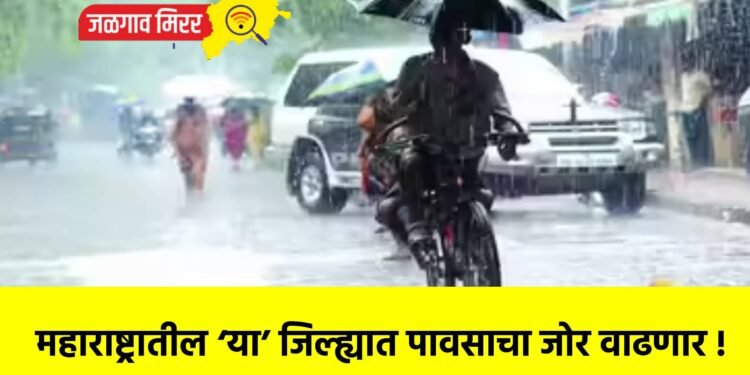 महाराष्ट्रातील ‘या’ जिल्ह्यात पावसाचा जोर वाढणार !