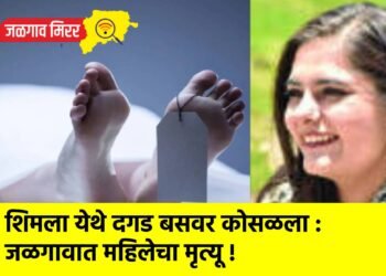 शिमला येथे दगड बसवर कोसळला : जळगावात महिलेचा मृत्यू !