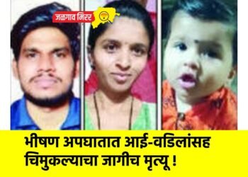 भीषण अपघातात आई-वडिलांसह चिमुकल्याचा जागीच मृत्यू !