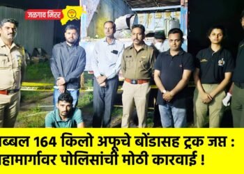 तब्बल १६४ किलो अफूचे बोंडासह ट्रक जप्त : महामार्गावर पोलिसांची मोठी कारवाई !