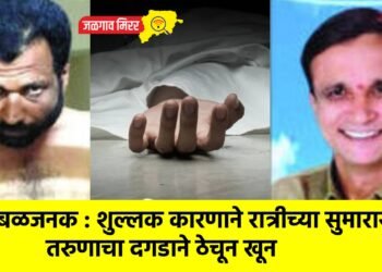 खळबळजनक : शुल्लक कारणाने रात्रीच्या सुमारास तरुणाचा दगडाने ठेचून खून