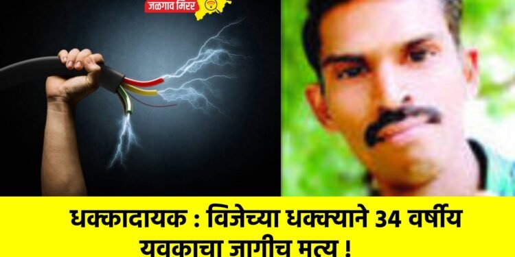 धक्कादायक : विजेच्या धक्क्याने ३४ वर्षीय युवकाचा जागीच मृत्यू !