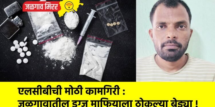 एलसीबीची मोठी कामगिरी : जळगावातील ड्रग्ज माफियाला ठोकल्या बेड्या !