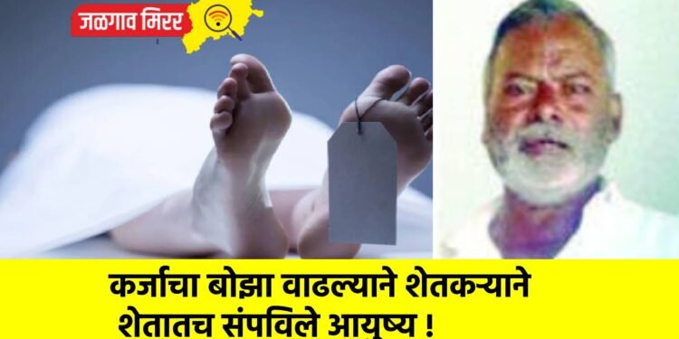 कर्जाचा बोझा वाढल्याने शेतकऱ्याने शेतातच संपविले आयुष्य !