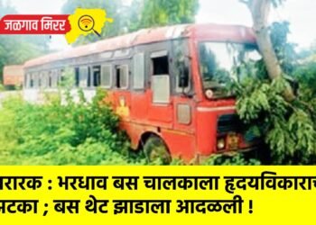 थरारक : भरधाव बस चालकाला हृदयविकाराचा झटका ; बस थेट झाडाला आदळली !